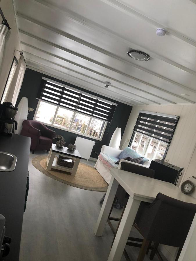 Chalet Het Wollinghuisje Vlagtwedde Экстерьер фото