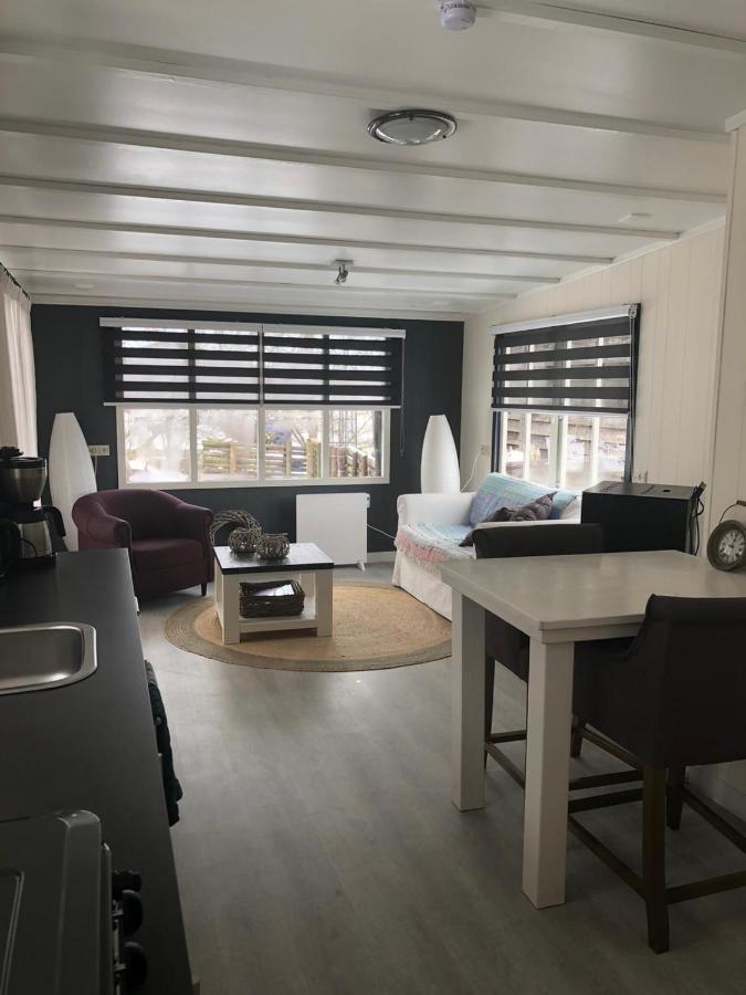 Chalet Het Wollinghuisje Vlagtwedde Экстерьер фото